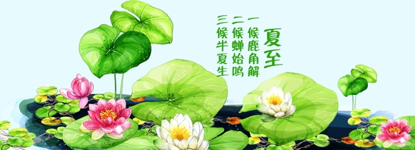 夏至banner背景