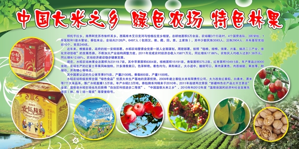 农产品绿色展板图片