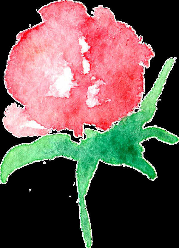 粉红玫瑰卡通透明素材