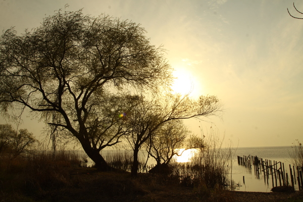 太湖夕阳图片