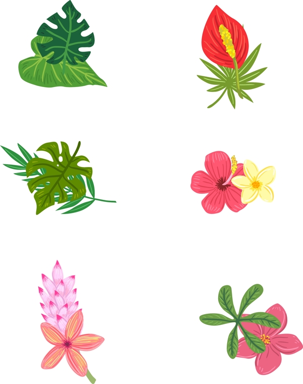 花朵植物简约装饰元素