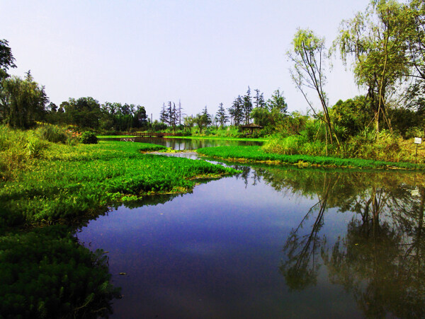桤木河湿地公园