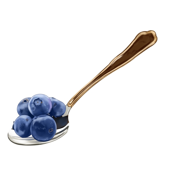 一勺匙蓝莓插图