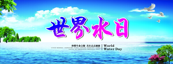 世界水日
