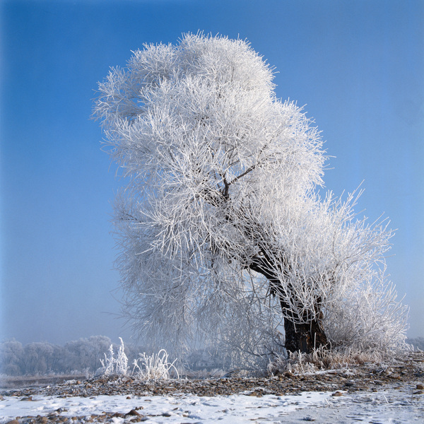 雪景图片