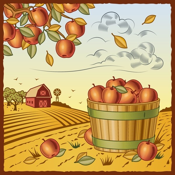矢量秋天丰收的苹果图片