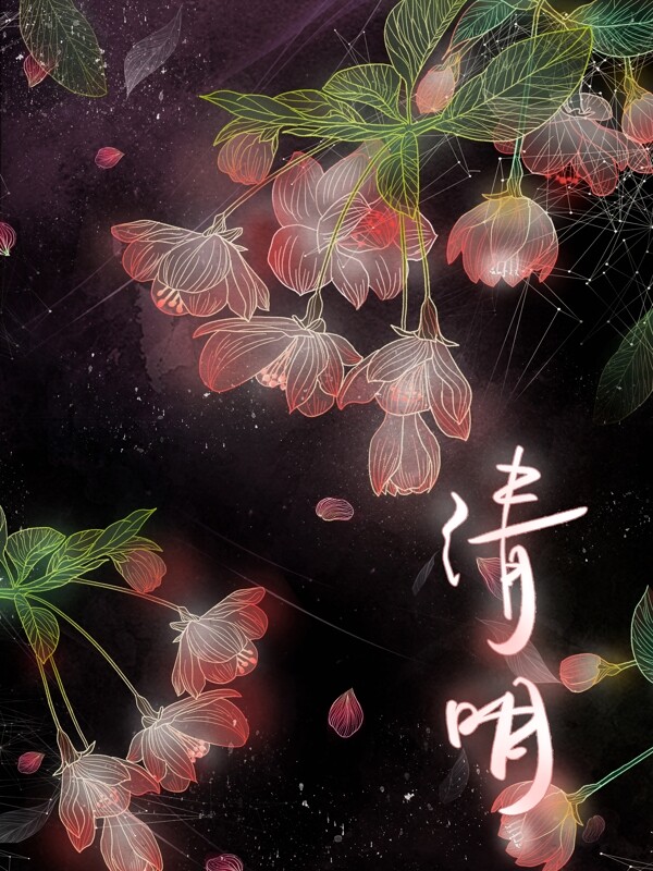 独特透明感二十四节气海棠花清明节
