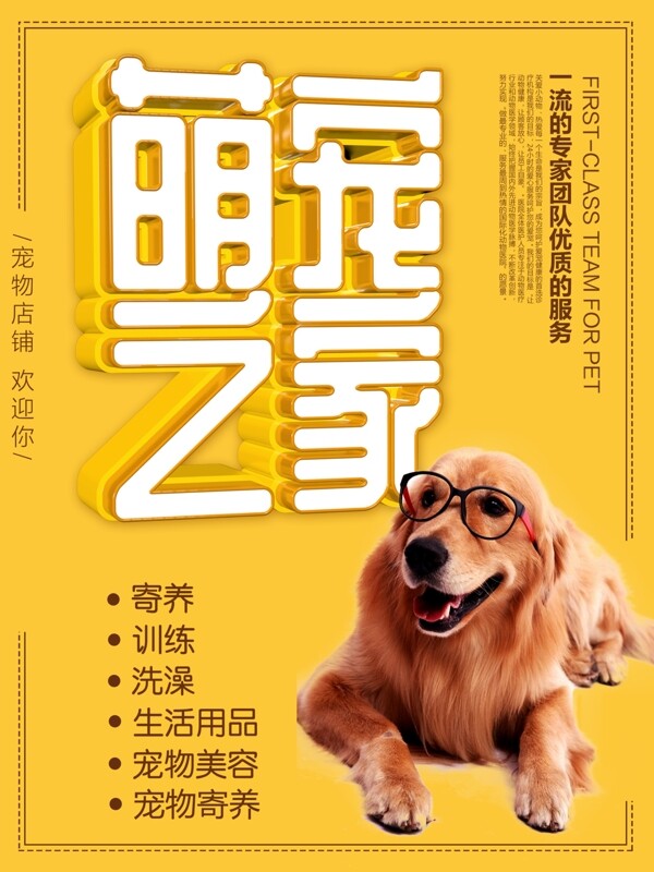 黄色立体字宠物之家宣传促销海报