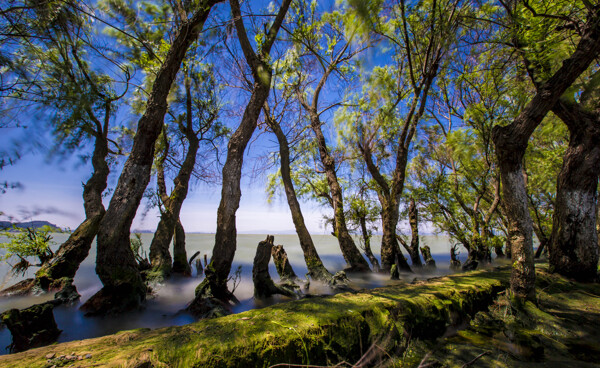 捞鱼河湿地