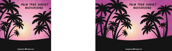 热带背景与棕榈树的剪影