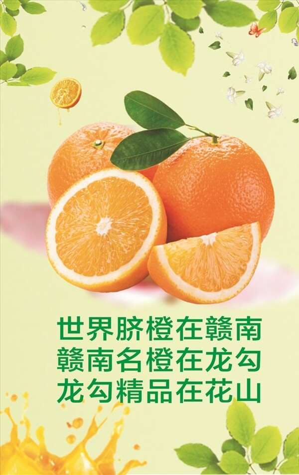脐橙橙子橙子海报橙子展架