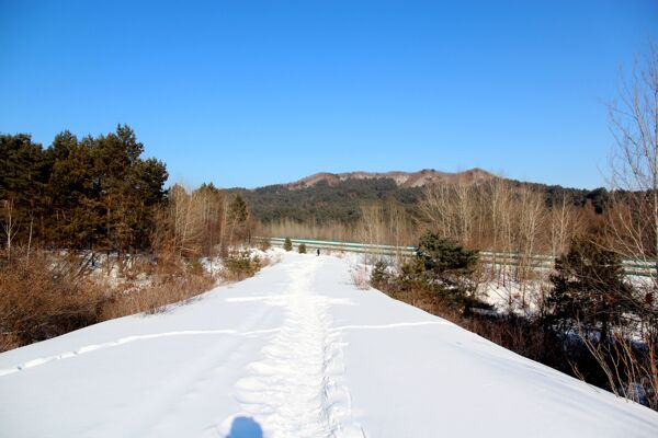 雪景