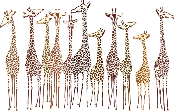 手工绘制的斑马和长颈鹿设计矢量图02