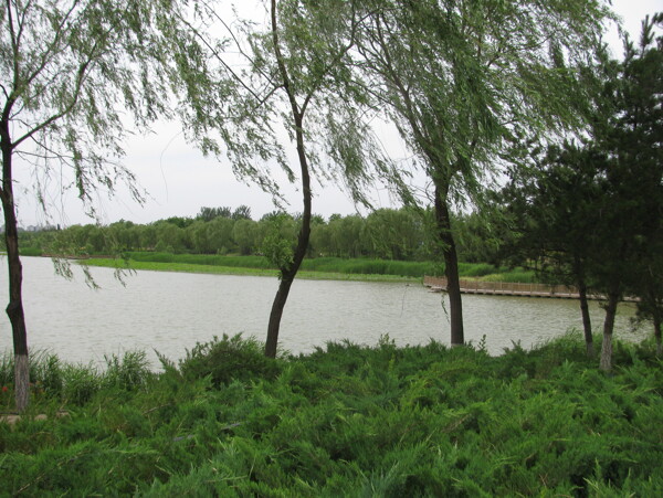 南海子风景