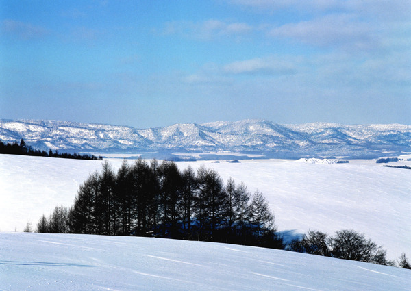 冰雪景象