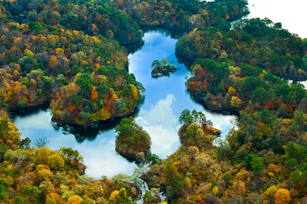 丛林中的湖泊全景