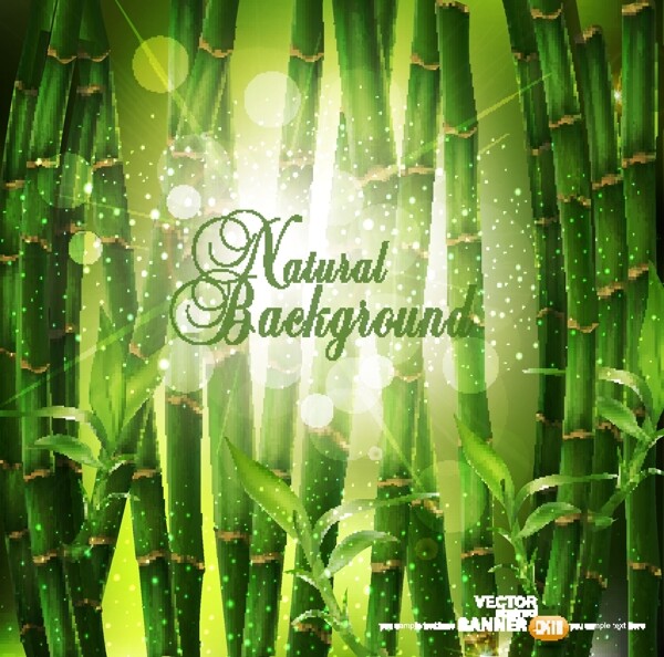 竹子绿色环保图片