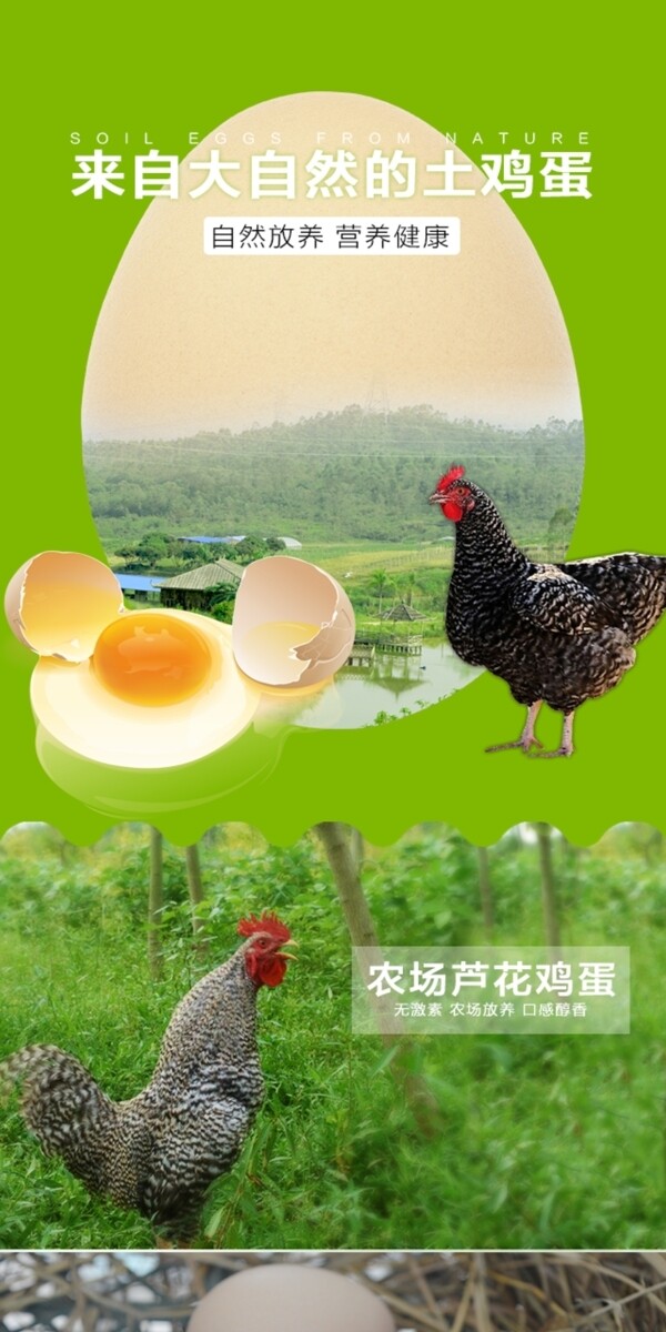 土鸡蛋淘宝详情页绿色