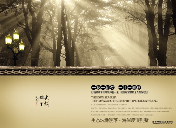 psd源文件中国风山峦练瑜伽光线阳光树林