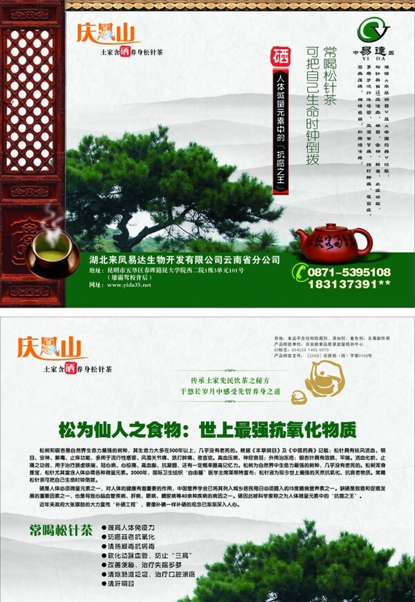 松针茶DM易达图片