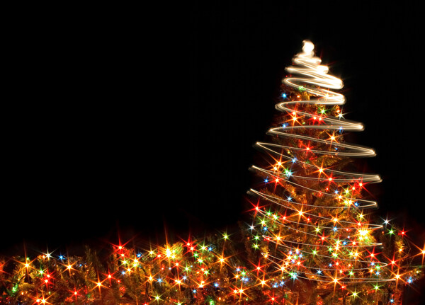 闪光的圣诞树素材