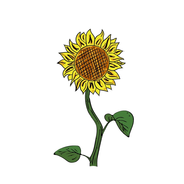 手绘卡通植物向日葵
