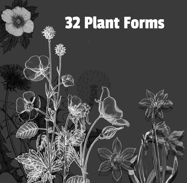 32款植物线描花朵花卉PS笔刷