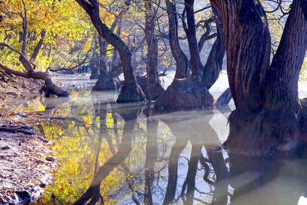 湖面倒影风景