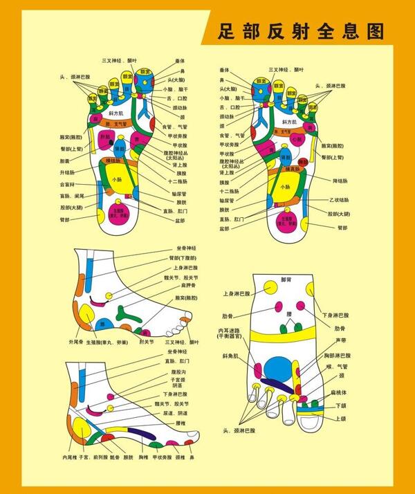 足部反射全息图穴位图图片