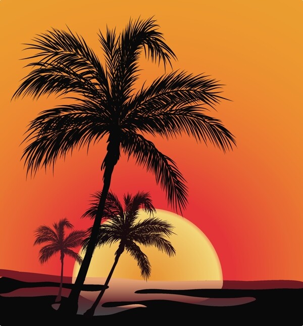 椰子椰子海滩阴影矢量