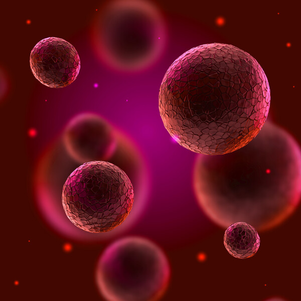 人体红血球图片