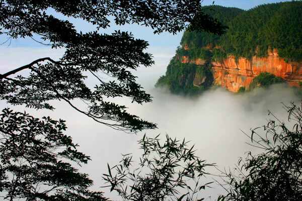 竹海自然景观图片