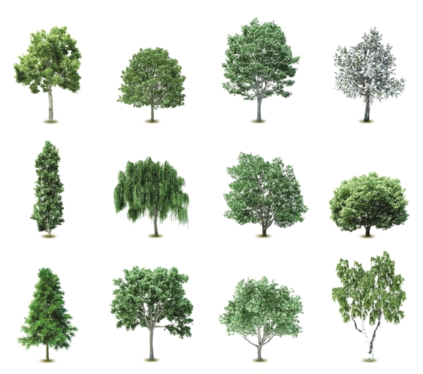 各种树木矢量的01个元素