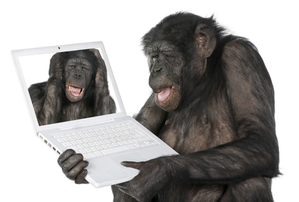 抱着笔记本电脑的大猩猩图片