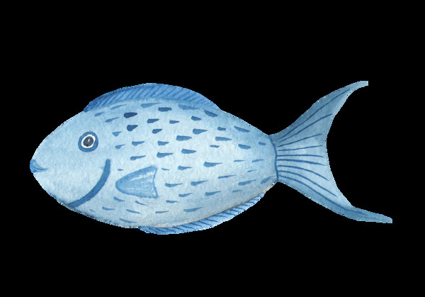 海洋生物鱼图案