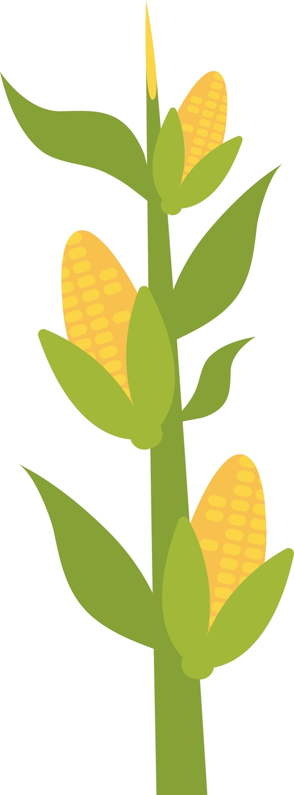 卡通矢量手绘扁平玉米