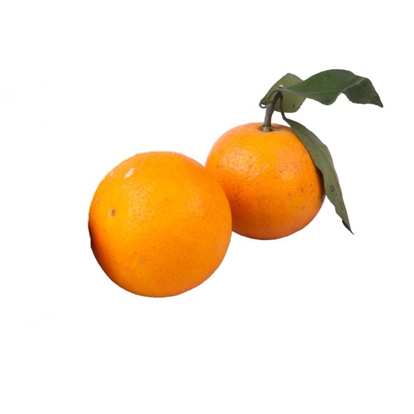 两个橙子png免抠