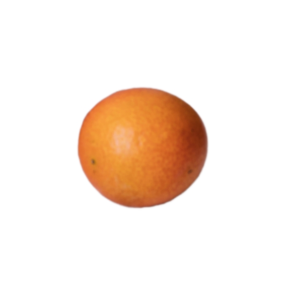 一个大橙子