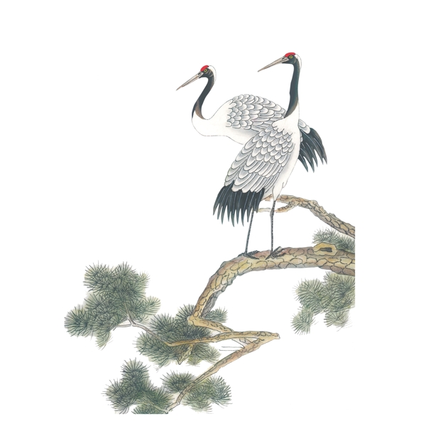 古典中国风唯美白鹤