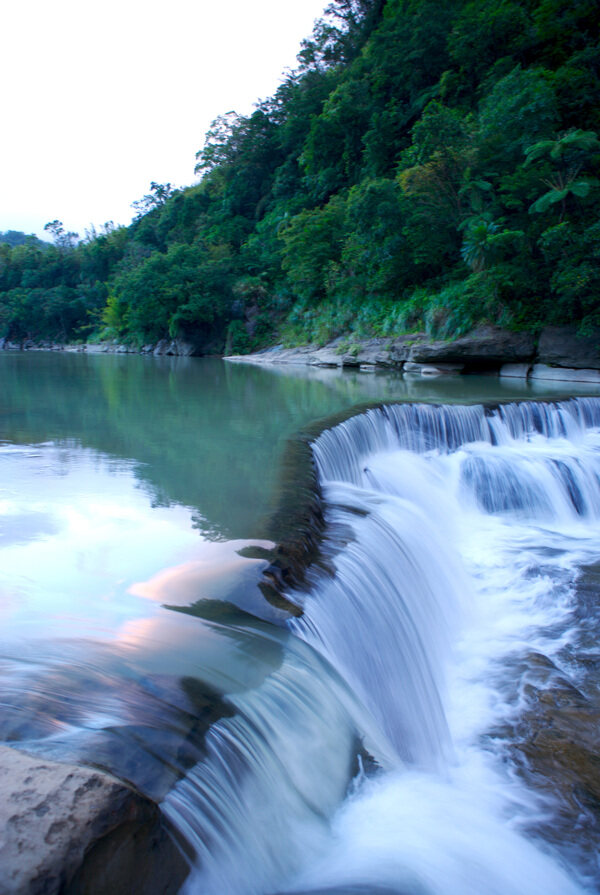 树植物水风景