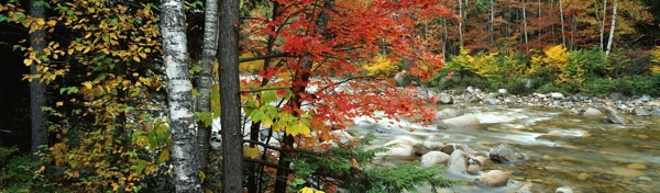 秋季小溪图片