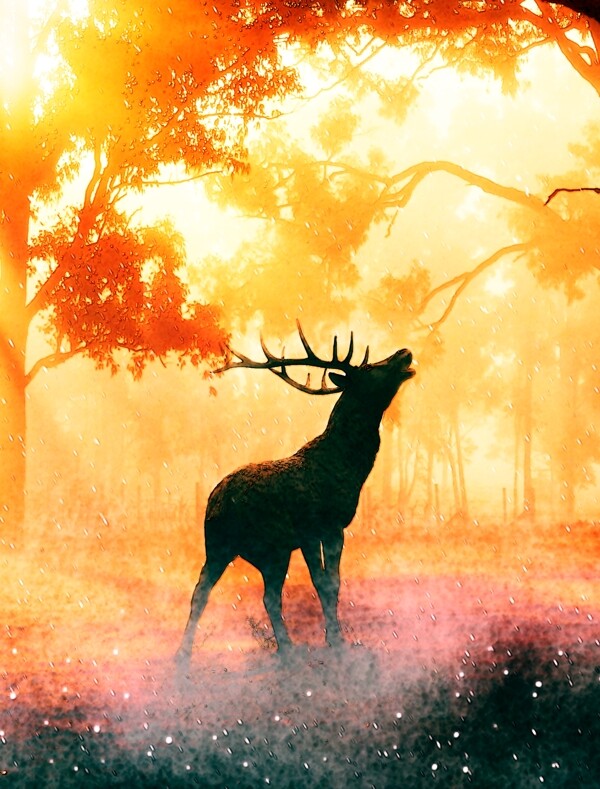 秋季麋鹿剪影风景装饰画