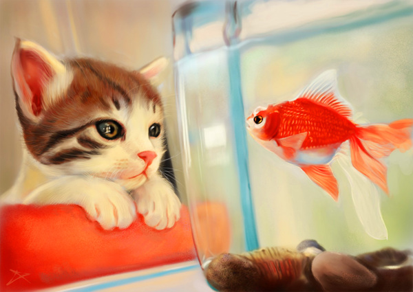 猫和鱼图片
