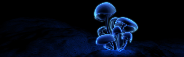 荧光蘑菇图片