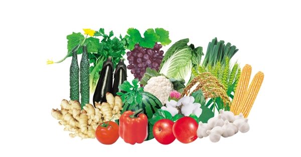 水果蔬菜组合图片