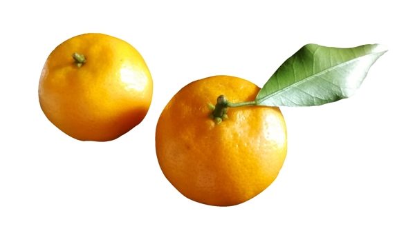 两个好吃美味营养橘子