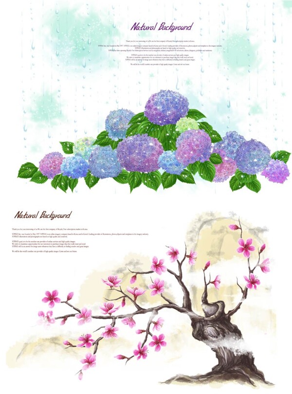 桃树和花朵