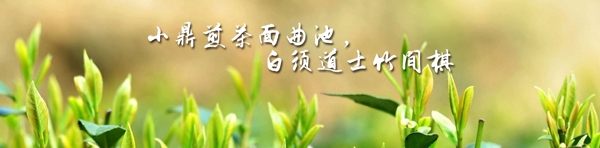 清新自然banner