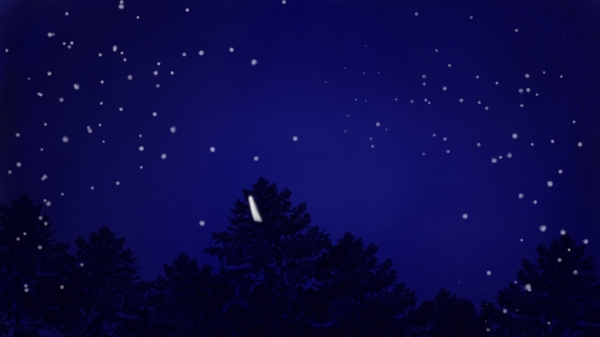 星空下的树林晚安背景素材