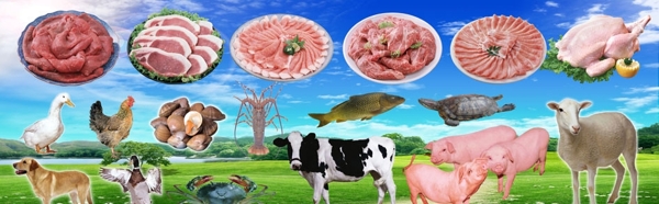 鲜肉海报图片